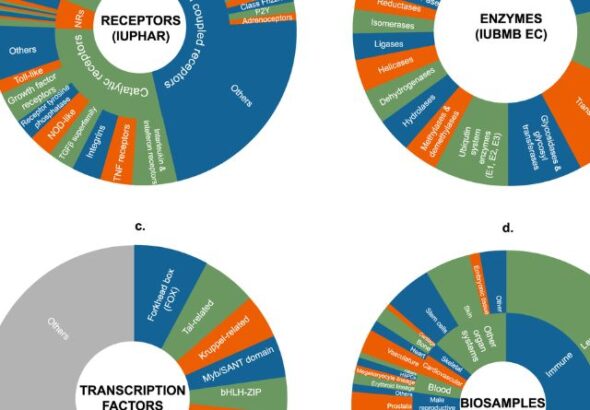 Producing Detailed Signaling Designs: A Comprehensive Guide