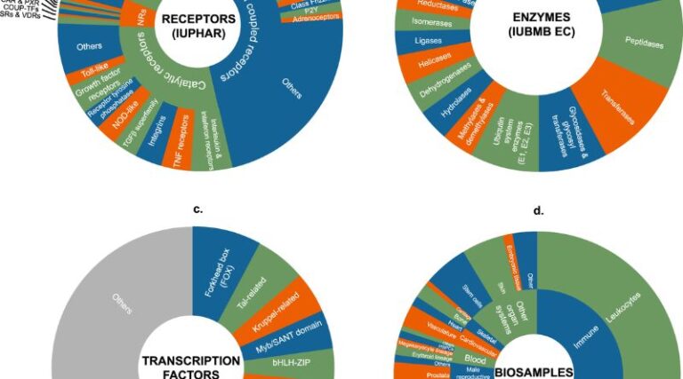 Producing Detailed Signaling Designs: A Comprehensive Guide